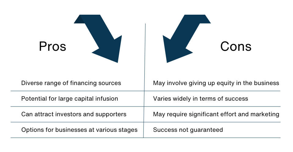 Other Funding Options (e.g., Equity Investment, Crowdfunding): Other Funding Options (e.g., Equity Investment, Crowdfunding):